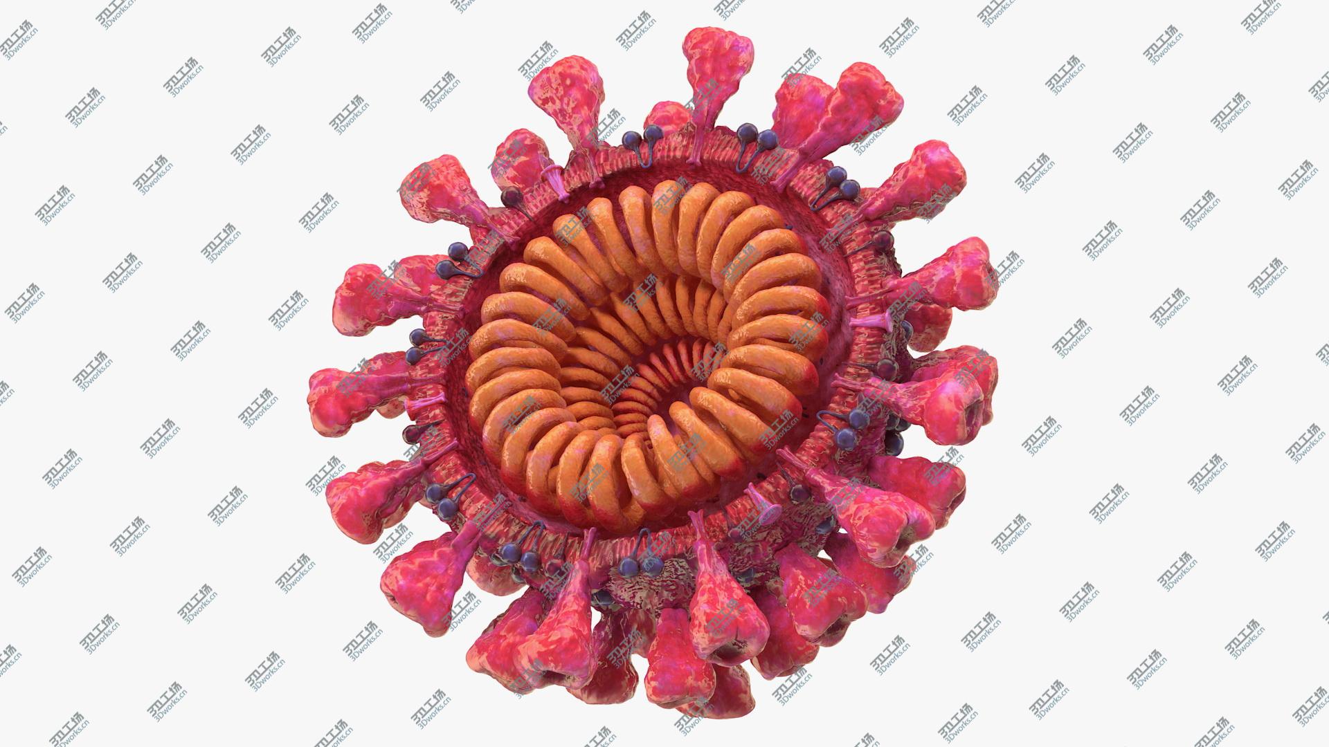 images/goods_img/20210313/Coronavirus 2019-nCoV SARS-CoV-2 Cross Section 3D/1.jpg